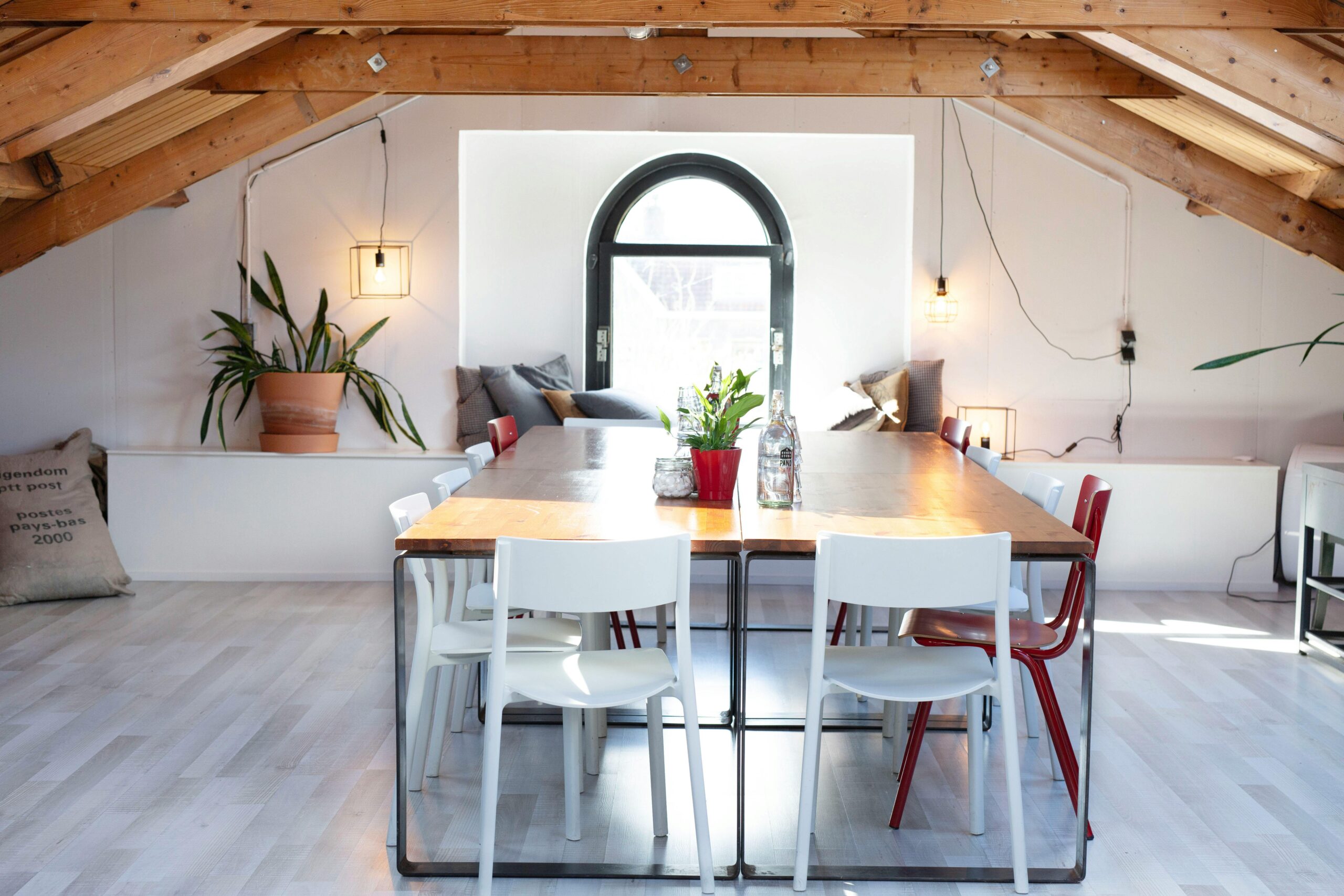 pexels-lonneke-deutekom-1130218251-33145553